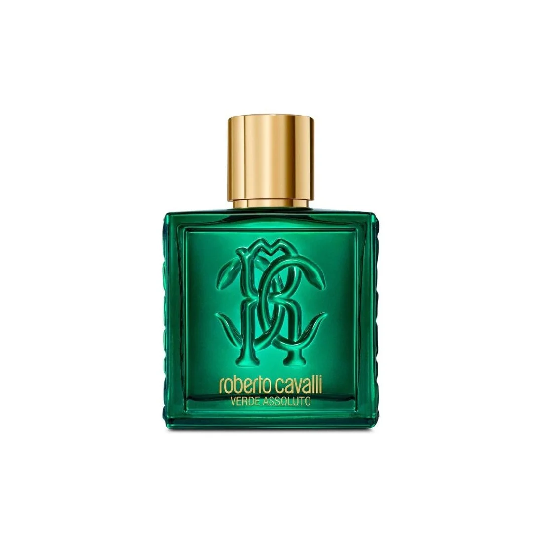 Roberto Cavalli Rc Uomo Verde Assoluto Edp 100ml Roberto Cavalli Rc Uomo Verde Assoluto Edp 100ml Roberto Cavalli Rc Uomo Verde Assoluto Edp 100ml